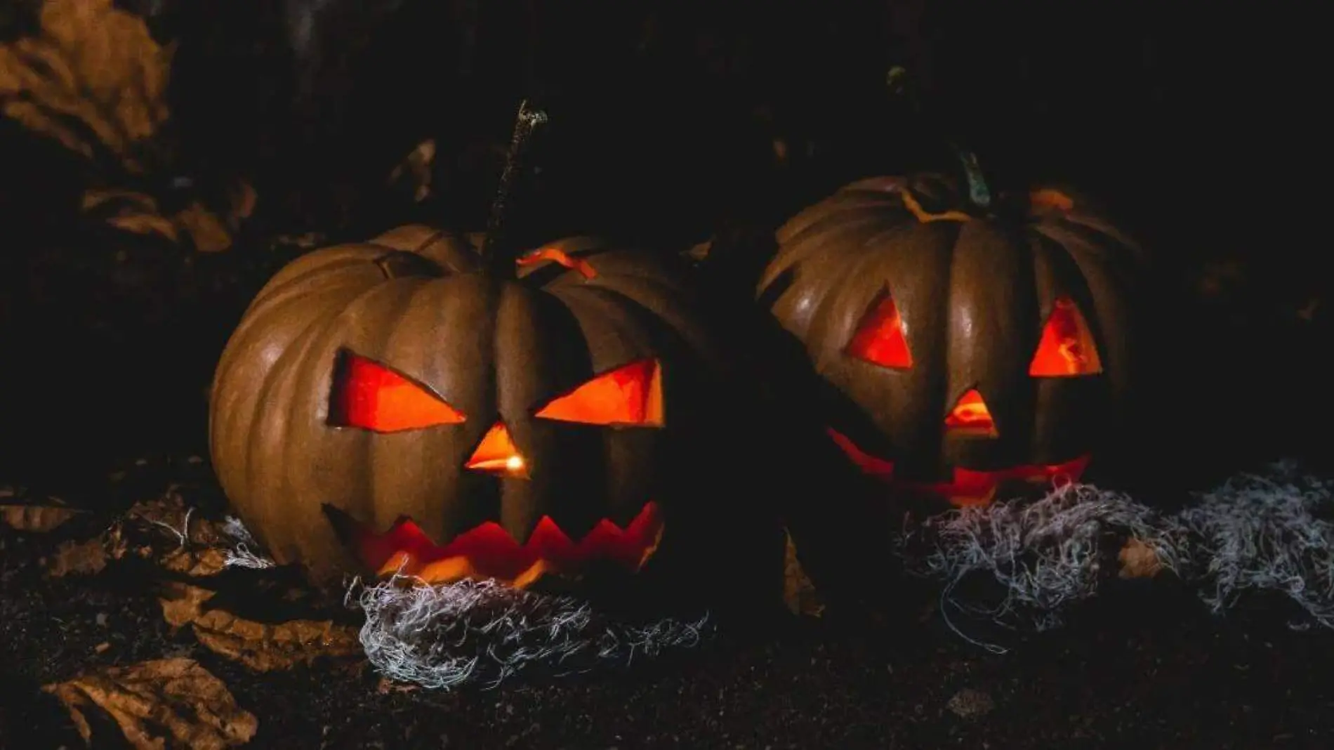 Llegó la noche de Halloween y una de las recomendaciones es una tarde películas